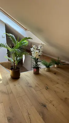 Grundriss der Unterkunft Villa Mediterrane - Apartment Florence