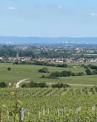 Naturlandschaft in der Nähe der Ferienwohnung