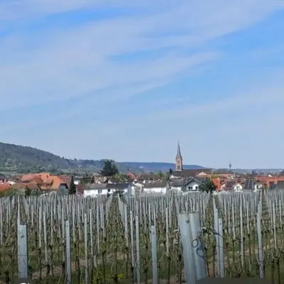 Naturlandschaft in der Nähe der Ferienwohnung
