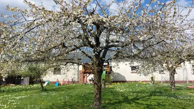 Ein Garten an der Unterkunft Fewo Helene im schönen Odw