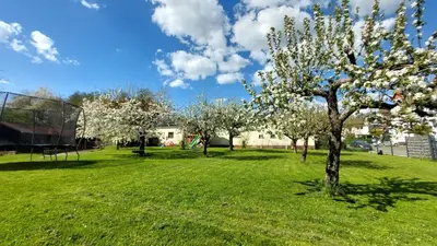 Ein Garten an der Unterkunft Fewo Helene im schönen Odw
