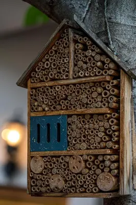 Grundriss der Unterkunft Krebiehls Winkelhof