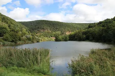 Naturlandschaft in der Nähe der Ferienwohnung