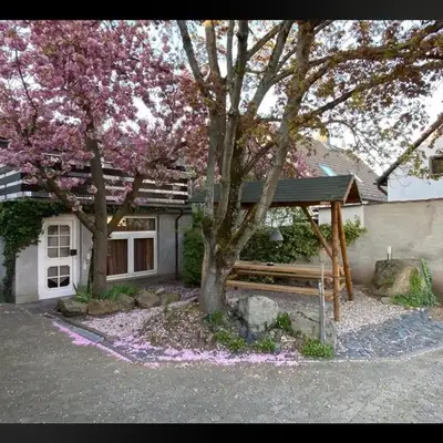 Nest & Rest Homes