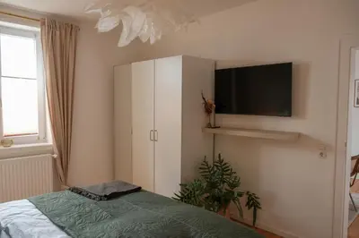 TV/Unterhaltungsangebot in der Unterkunft Klein, fein und top ausgestattet - charmante FEWO zum besten Preis
