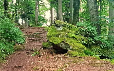 Naturlandschaft in der Nähe des Ferienhauses