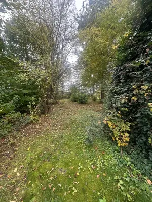 Ein Garten an der Unterkunft das HAUS