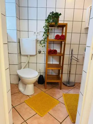 Ein Badezimmer in der Unterkunft Forest Nest Huchenfeld OG