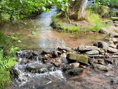 Naturlandschaft in der Nähe der Ferienwohnung