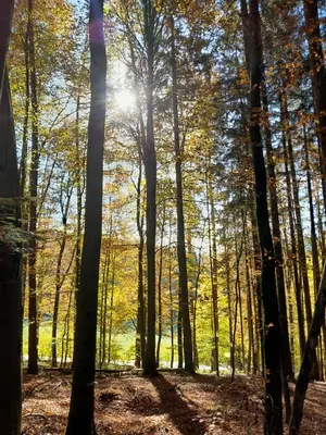 Naturlandschaft in der Nähe der Ferienwohnung