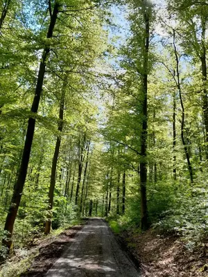 Naturlandschaft in der Nähe der Ferienwohnung