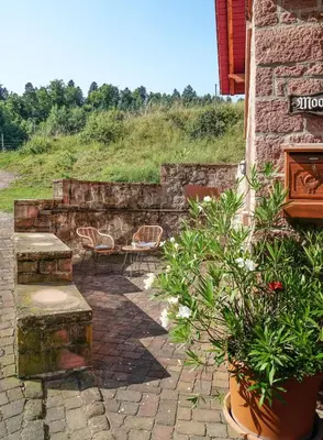 Ein Garten an der Unterkunft Trommglück