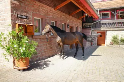Tiere in der Ferienwohnung oder in der Nähe