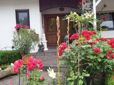 Ein Garten an der Unterkunft Guesthouse König