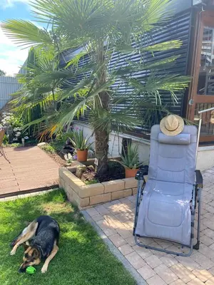 Ein Garten an der Unterkunft Ferienwohnung Riva