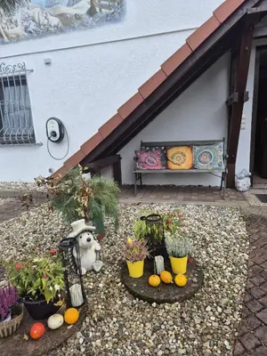 Ein Garten an der Unterkunft Ferienwohnung Waldnest