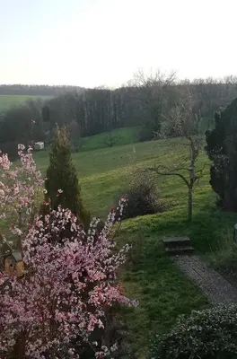 Naturlandschaft in der Nähe der Ferienwohnung