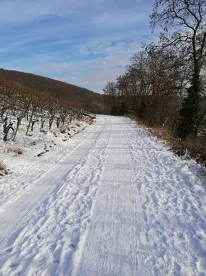 Himmelthal Apartment im Winter
