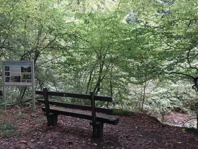 Naturlandschaft in der Nähe der Ferienwohnung