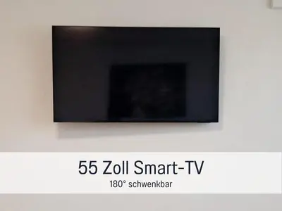 TV/Unterhaltungsangebot in der Unterkunft Germersheimer Rhein-Quartier