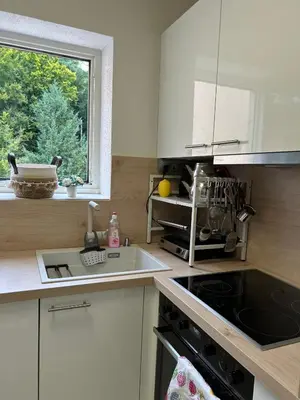 Küche/Küchenzeile in der Unterkunft Apartment in Bad Herrenalb