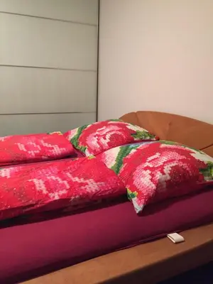 Ein Bett oder Betten in einem Zimmer der Unterkunft Urban Gardenappartment in Mannheim