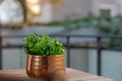Ein Garten an der Unterkunft Amaela Design-Wohnung, SAP, Parkplatz, Balkon, NEU