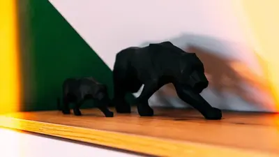 Tiere in der Ferienwohnung oder in der Nähe