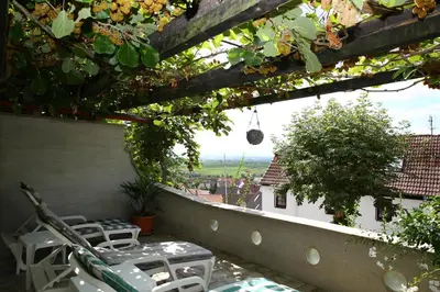 Ein Balkon oder eine Terrasse in der Unterkunft Pension Weinberg mit Landhaus Nizza