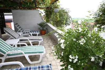 Ein Garten an der Unterkunft Pension Weinberg mit Landhaus Nizza