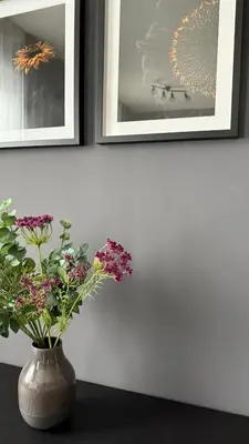 Grundriss der Unterkunft Meyben Apartment Mannheim Küche, TV, Waschmachine