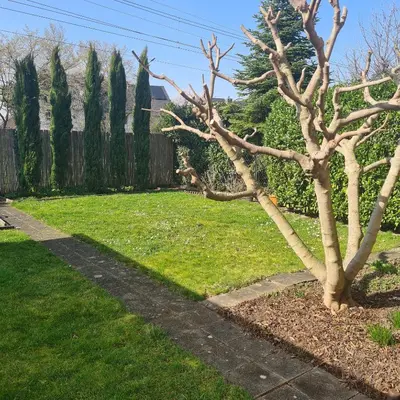 Ein Garten an der Unterkunft ,, Himmelsblick 