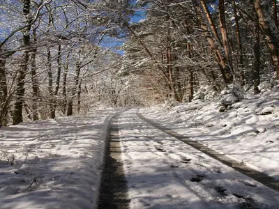 Rückzugsort in Mossautal-Hüttenthal im Winter