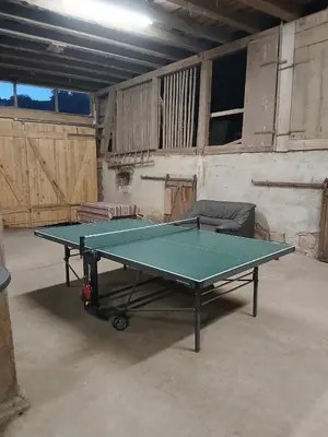 Tischtennis in der Unterkunft Apartment Erde im Ferienhaus am Waldbach oder in der Nähe