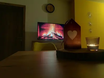TV/Unterhaltungsangebot in der Unterkunft Ferienwohnung Feuer im Ferienhaus am Waldbach