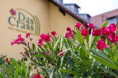 Ein Garten an der Unterkunft Das Crass