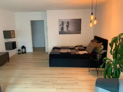 TV/Unterhaltungsangebot in der Unterkunft Renovated, cozy 1-room apartment with balcony
