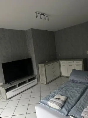 TV/Unterhaltungsangebot in der Unterkunft Modern 2-room apartment with large kitchen