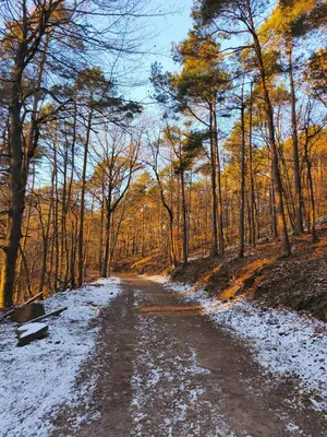 Naturlandschaft in der Nähe der Ferienwohnung