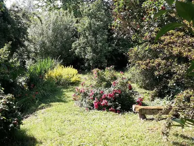 Ein Garten an der Unterkunft 