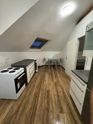 Küche/Küchenzeile in der Unterkunft Monteurwohnung Neustadt an der Weinstraße