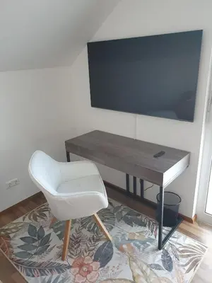 TV/Unterhaltungsangebot in der Unterkunft Karlsruhe Holiday & Business Apartment - 3-Bedroom House
