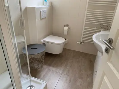 Ein Badezimmer in der Unterkunft Große Ferienwohnung mit Balkon in Sankt Martin, Pfalz