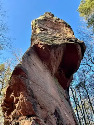 Naturlandschaft in der Nähe der Ferienwohnung