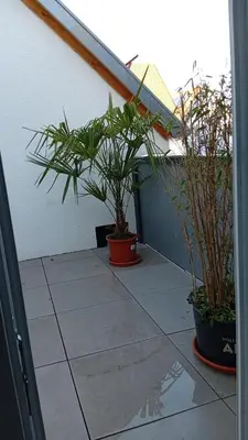Ein Garten an der Unterkunft Walldürn Zentrum