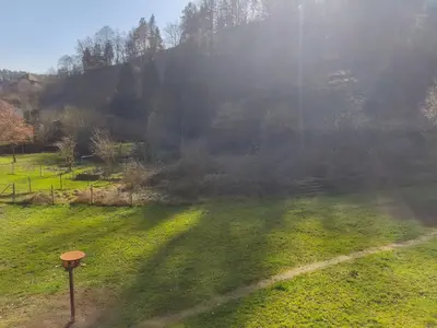 Naturlandschaft in der Nähe der Ferienwohnung