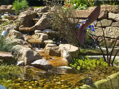 Naturlandschaft in der Nähe der Ferienwohnung