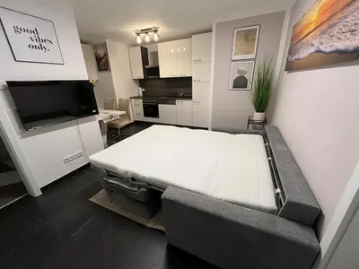 TV/Unterhaltungsangebot in der Unterkunft Beautiful apartment in Bürstadt