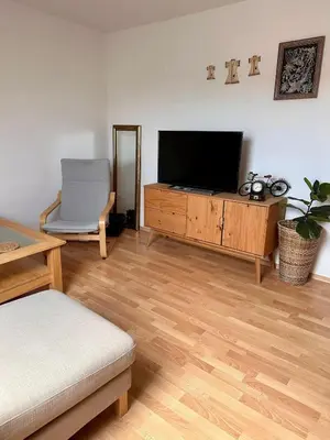 TV/Unterhaltungsangebot in der Unterkunft Country house style vintage 2-room apartment in Kleinostheim