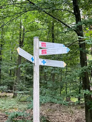 Naturlandschaft in der Nähe des Ferienhauses